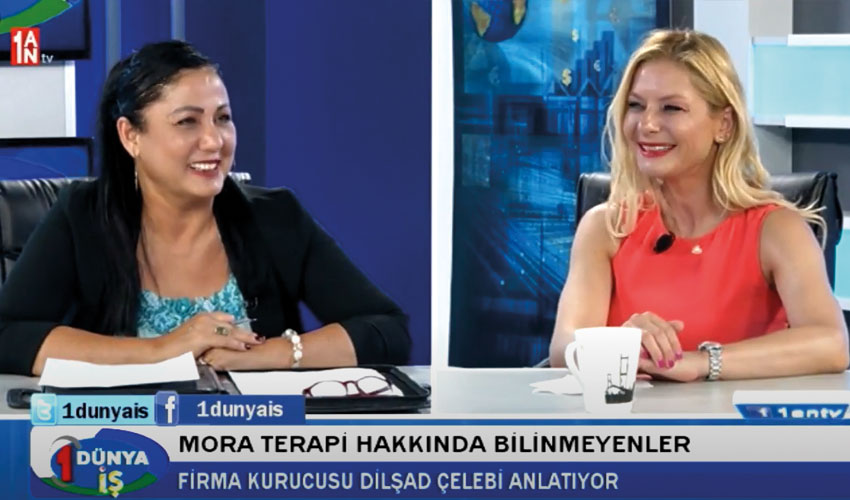 1 DÜNYA İŞ - GİRİŞİMCİLER İÇİN ÖNERİ