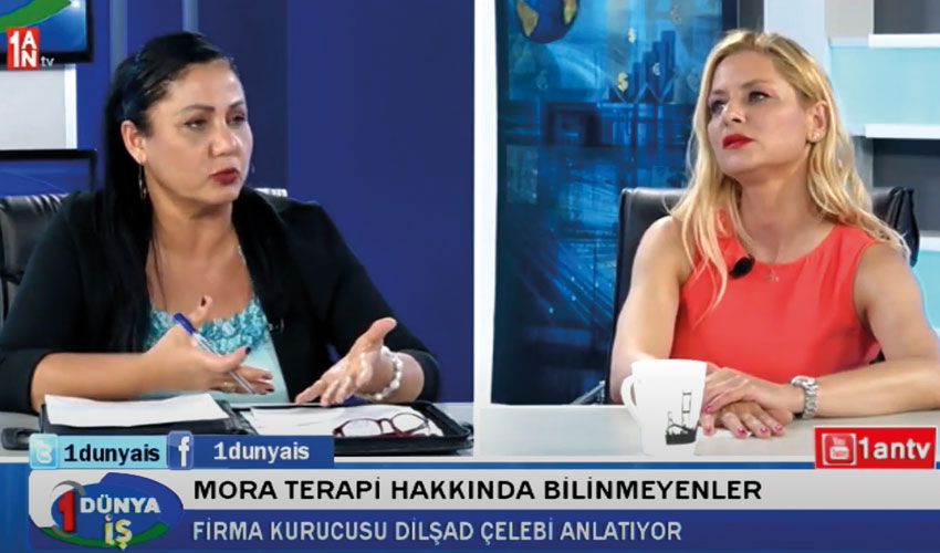 1 DÜNYA İŞ - MORA MALİYET